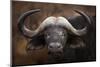 A Buffalo Portrait-Mario Moreno-Mounted Photographic Print