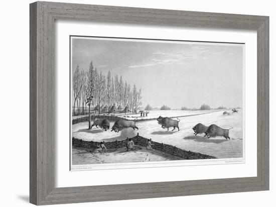 A buffalo pound, Canada, c1819-1822 (1823)-Edward Finden-Framed Giclee Print