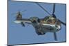 A Bulgarian Air Force Super Puma Helicopter in Flight over Bulgaria-Stocktrek Images-Mounted Photographic Print
