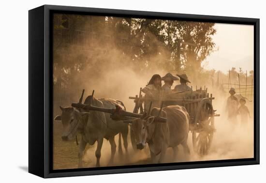 A bull cart kicks up a cloud of dust on the road to Indawgyi Lake, Kachin State, Myanmar (Burma), A-Alex Treadway-Framed Premier Image Canvas