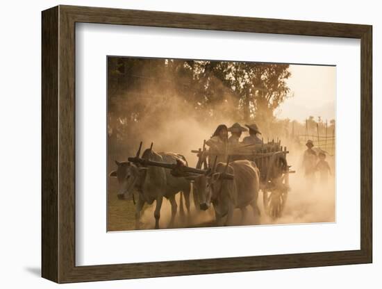 A bull cart kicks up a cloud of dust on the road to Indawgyi Lake, Kachin State, Myanmar (Burma), A-Alex Treadway-Framed Photographic Print