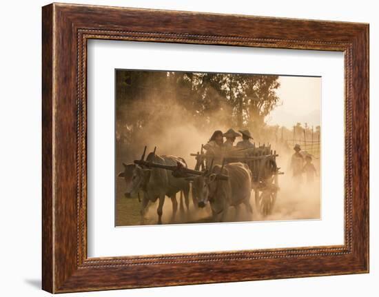 A bull cart kicks up a cloud of dust on the road to Indawgyi Lake, Kachin State, Myanmar (Burma), A-Alex Treadway-Framed Photographic Print