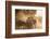 A bull cart kicks up a cloud of dust on the road to Indawgyi Lake, Kachin State, Myanmar (Burma), A-Alex Treadway-Framed Photographic Print