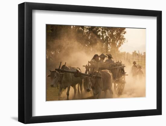 A bull cart kicks up a cloud of dust on the road to Indawgyi Lake, Kachin State, Myanmar (Burma), A-Alex Treadway-Framed Photographic Print