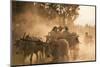 A bull cart kicks up a cloud of dust on the road to Indawgyi Lake, Kachin State, Myanmar (Burma), A-Alex Treadway-Mounted Photographic Print