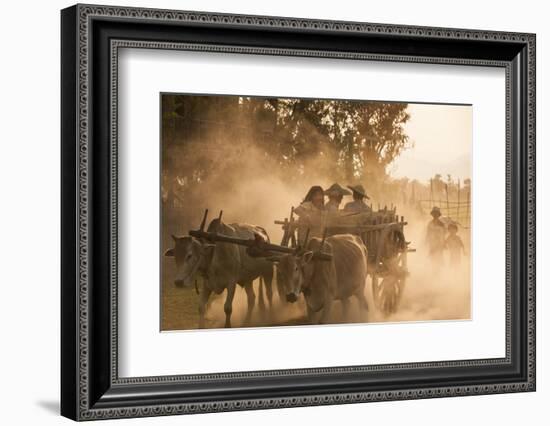 A bull cart kicks up a cloud of dust on the road to Indawgyi Lake, Kachin State, Myanmar (Burma), A-Alex Treadway-Framed Photographic Print