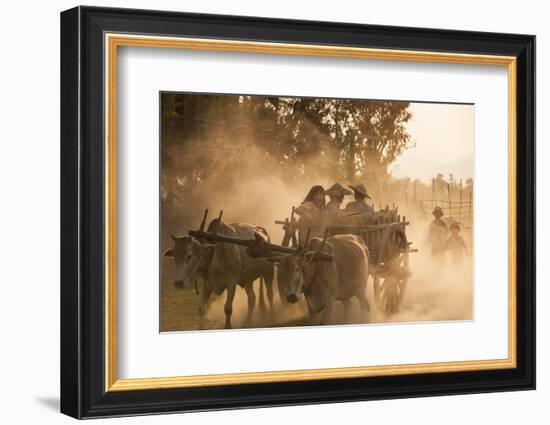 A bull cart kicks up a cloud of dust on the road to Indawgyi Lake, Kachin State, Myanmar (Burma), A-Alex Treadway-Framed Photographic Print