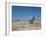 A Bull Elephant, Loxodonta Africana, Stares at the Camera in Etosha National Park-Alex Saberi-Framed Photographic Print