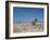 A Bull Elephant, Loxodonta Africana, Stares at the Camera in Etosha National Park-Alex Saberi-Framed Photographic Print