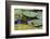 A Bull Frog, on a Lily Pad at Massachusetts Audubon's Wellfleet Bay Wildlife Sanctuary-Jerry and Marcy Monkman-Framed Photographic Print