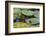 A Bull Frog, on a Lily Pad at Massachusetts Audubon's Wellfleet Bay Wildlife Sanctuary-Jerry and Marcy Monkman-Framed Photographic Print