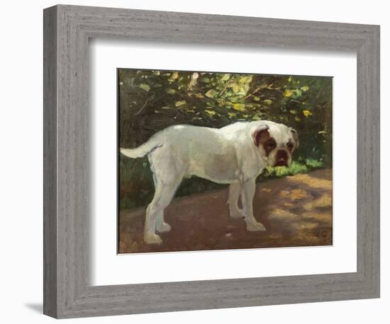 A Bulldog on a Garden Path (Oil on Canvas)-Arthur Heyer-Framed Giclee Print