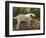 A Bulldog on a Garden Path (Oil on Canvas)-Arthur Heyer-Framed Giclee Print