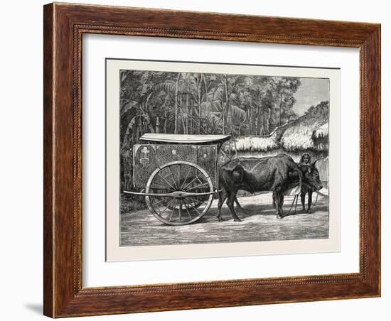 A Bullock Carriage in Cochin-China-null-Framed Giclee Print