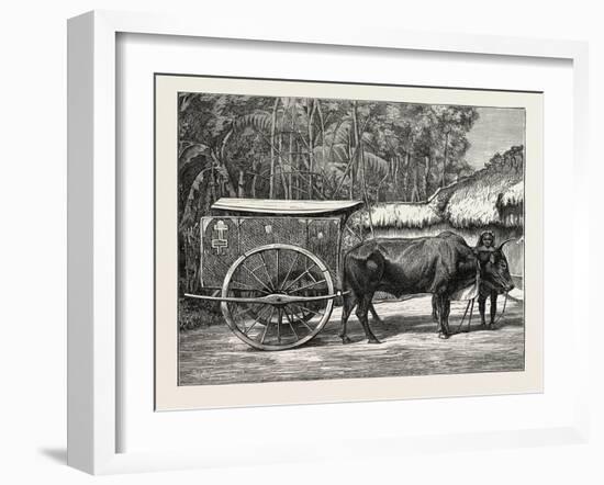 A Bullock Carriage in Cochin-China-null-Framed Giclee Print