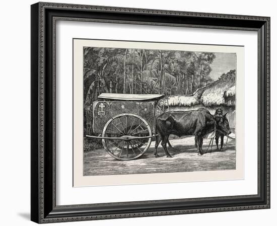 A Bullock Carriage in Cochin-China-null-Framed Giclee Print