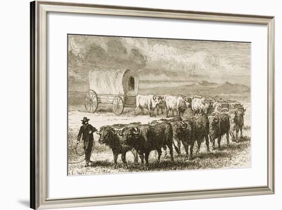 A Bullock Wagon Crossing the Great Plains Between St. Louis and Denver, C.1870, from 'American…-null-Framed Giclee Print