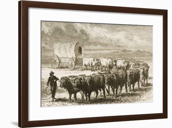 A Bullock Wagon Crossing the Great Plains Between St. Louis and Denver, C.1870, from 'American…-null-Framed Giclee Print