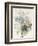 A Bunch of Flowers Including Roses-Pierre Joseph Redoute-Framed Giclee Print