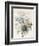 A Bunch of Flowers Including Roses-Pierre Joseph Redoute-Framed Giclee Print