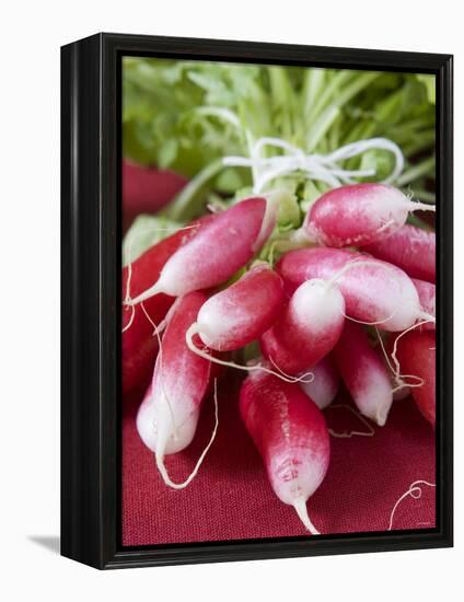 A Bunch of Radishes-Vanessa Colin-Framed Premier Image Canvas