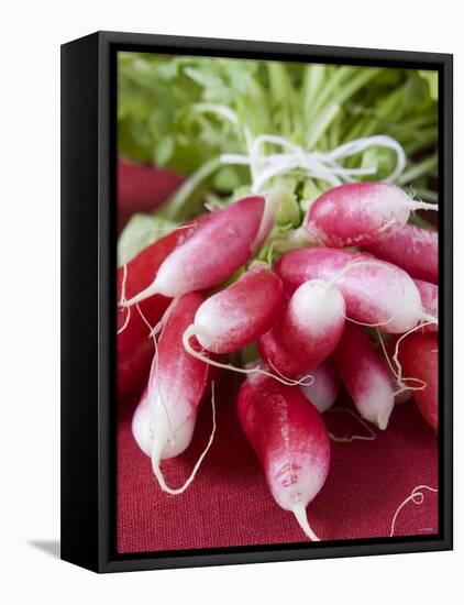 A Bunch of Radishes-Vanessa Colin-Framed Premier Image Canvas