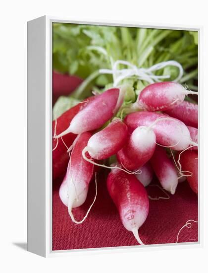 A Bunch of Radishes-Vanessa Colin-Framed Premier Image Canvas