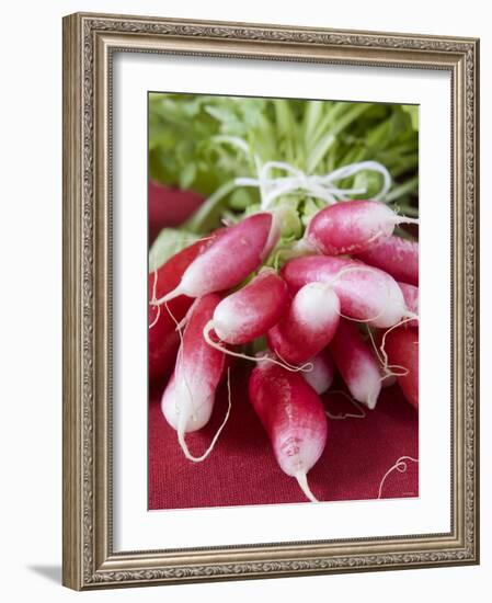 A Bunch of Radishes-Vanessa Colin-Framed Photographic Print