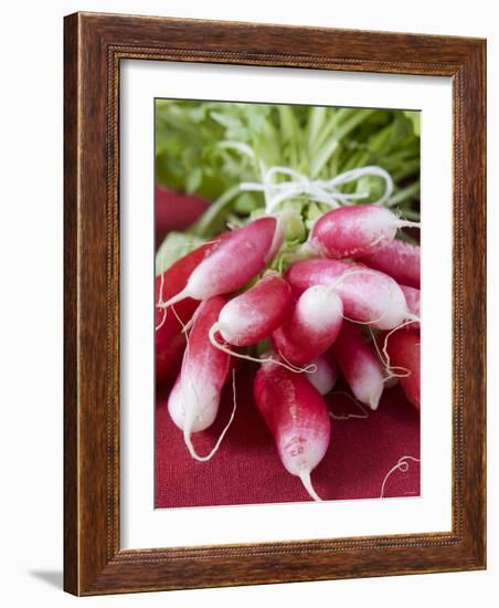 A Bunch of Radishes-Vanessa Colin-Framed Photographic Print