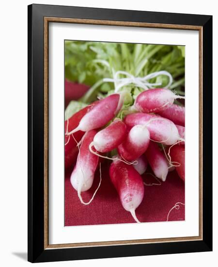 A Bunch of Radishes-Vanessa Colin-Framed Photographic Print