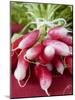 A Bunch of Radishes-Vanessa Colin-Mounted Photographic Print