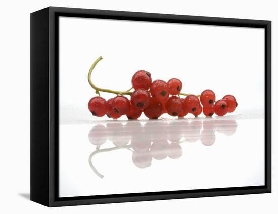 A Bunch of Redcurrants-Jean Gillis-Framed Premier Image Canvas