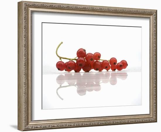 A Bunch of Redcurrants-Jean Gillis-Framed Photographic Print