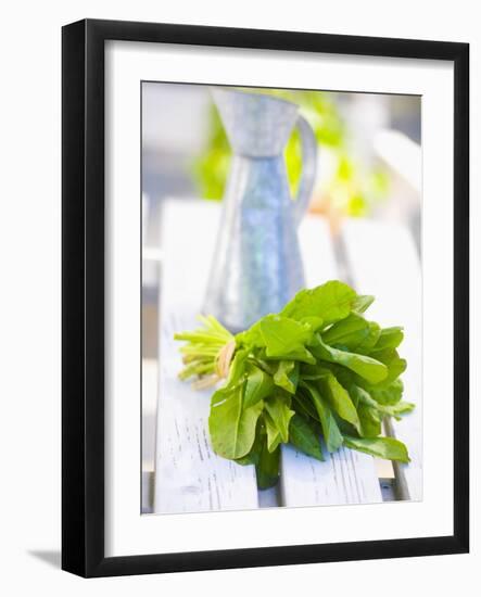 A Bunch of Spinach-null-Framed Photographic Print