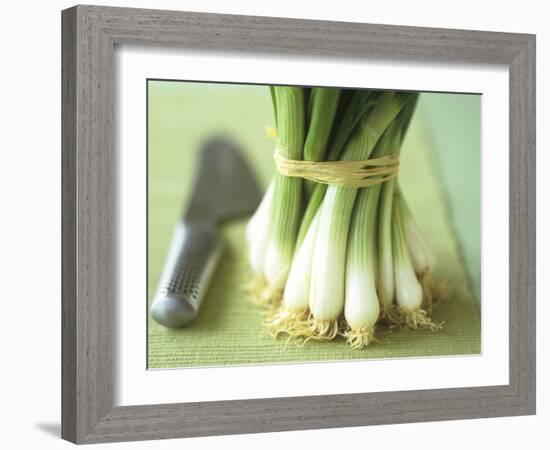 A Bunch of Spring Onions-Michael Paul-Framed Photographic Print