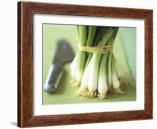 A Bunch of Spring Onions-Michael Paul-Framed Photographic Print