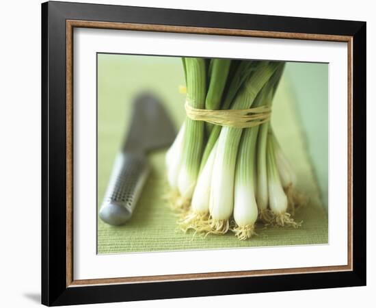 A Bunch of Spring Onions-Michael Paul-Framed Photographic Print