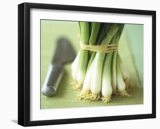 A Bunch of Spring Onions-Michael Paul-Framed Photographic Print