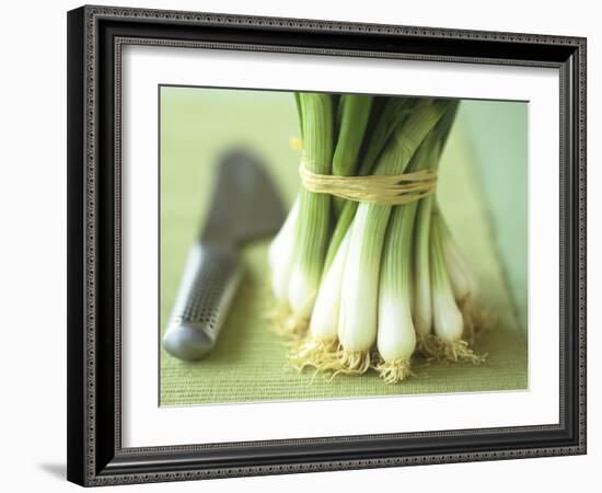 A Bunch of Spring Onions-Michael Paul-Framed Photographic Print