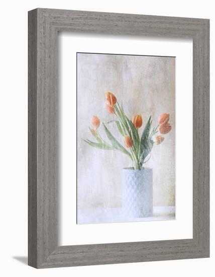 A bunch of tulips-Delphine Devos-Framed Photographic Print