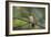 A Burnished Buff Tanager Perches in a Tree in Ubatuba-Alex Saberi-Framed Photographic Print