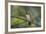 A Burnished Buff Tanager Perches in a Tree in Ubatuba-Alex Saberi-Framed Photographic Print