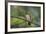 A Burnished Buff Tanager Perches in a Tree in Ubatuba-Alex Saberi-Framed Photographic Print