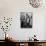 A Butcher Working in the Hungarian Meat Shop-John Phillips-Mounted Premium Photographic Print displayed on a wall