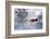 A Cabin For Two-Philippe Sainte-Laudy-Framed Photographic Print