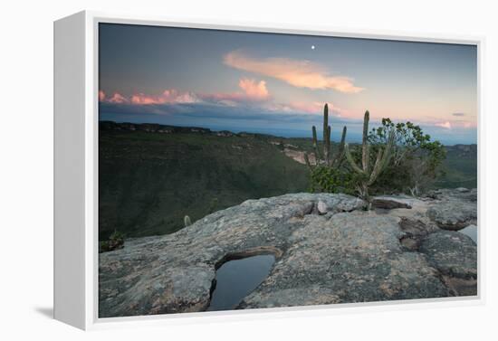 A Cactus at Sunset on Pai Inacio Mountain in Chapada Diamantina at Sunset-Alex Saberi-Framed Premier Image Canvas