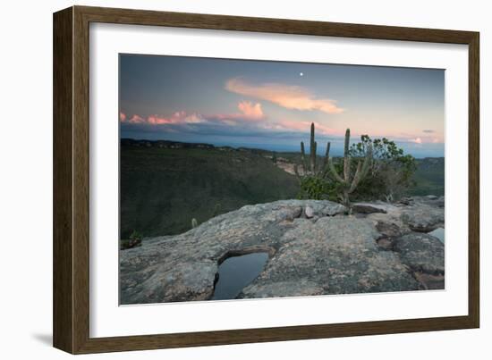 A Cactus at Sunset on Pai Inacio Mountain in Chapada Diamantina at Sunset-Alex Saberi-Framed Photographic Print