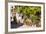 A Cafe in the Backstreets of Ile De La Cite, Paris, France, Europe-Julian Elliott-Framed Photographic Print