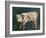 A Calf (Oil on Canvas)-Gustave Courbet-Framed Giclee Print