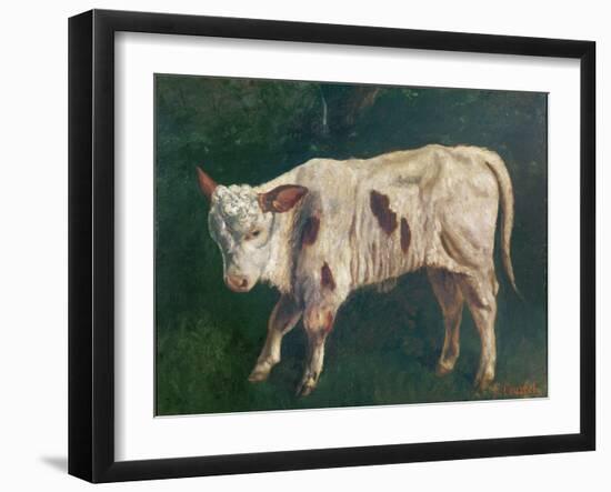 A Calf (Oil on Canvas)-Gustave Courbet-Framed Giclee Print